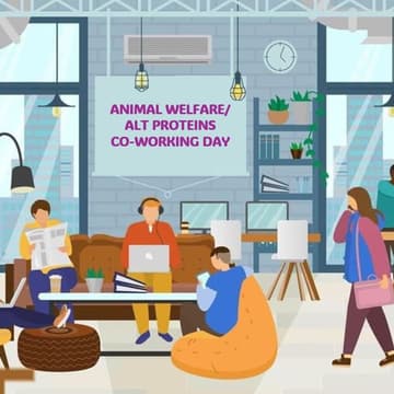 Cover Image for Animal Welfare/Alt Protein Co-working Day