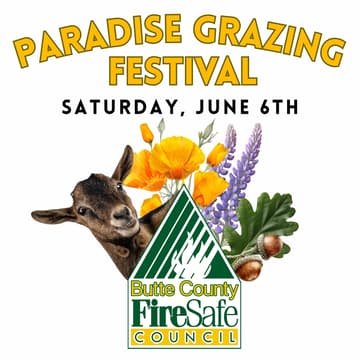 Cover Image for 5th Annual Paradise Grazing Festival