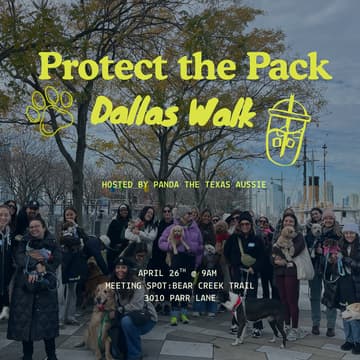 Cover Image for Protect the Pack Dallas Dog Walk