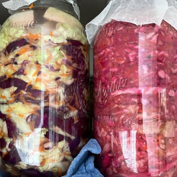 Cover Image for Sauerkraut 101 Workshop