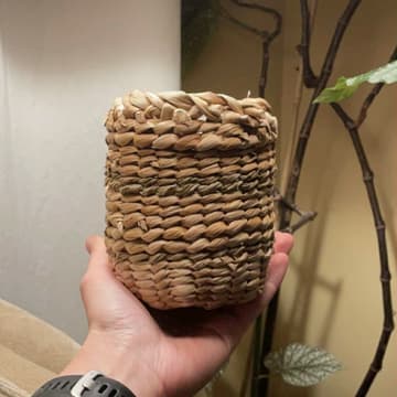 Cover Image for Woven Bulrush Vessel
