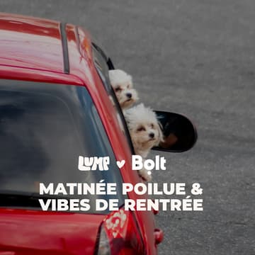 Cover Image for Matinée poilue @Casa del Doggo