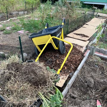 Cover Image for SDFCG January Garden Workday
