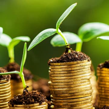 Cover Image for Careers in Sustainable Finance 101