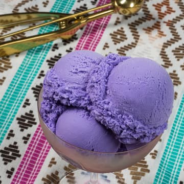 Cover Image for Magnolia Purple Freeze Challenge