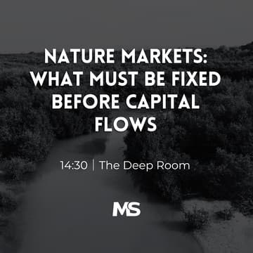 Cover Image for Nature Markets: What Must Be Fixed Before Capital Flows