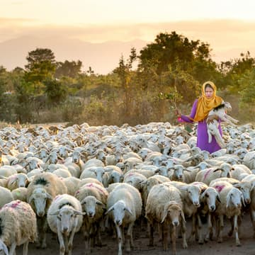 Cover Image for A Conversation on Mission and Purpose