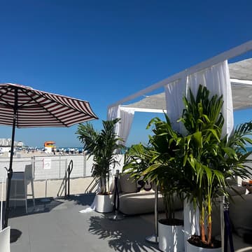 Cover Image for Miami Beach Private Art Market Tour Hosted by Greenwich Art Society and DVV