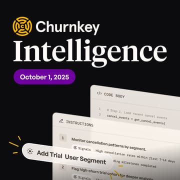 Cover Image for Introducing: Churnkey Intelligence