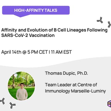 Cover Image for Affinity and Evolution of B Cell Lineages Following SARS-CoV-2 Vaccination