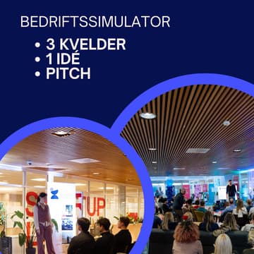 Cover Image for Bedriftssimulator