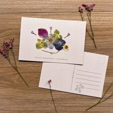 Cover Image for Bloom & Sip: Pressed Flower Postcards