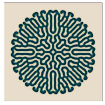 Cover Image for Conscious & Regenerative Business Lab