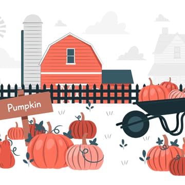 Cover Image for Pumpkin Carving Night 🎃 (Founding Member Welcome Series)