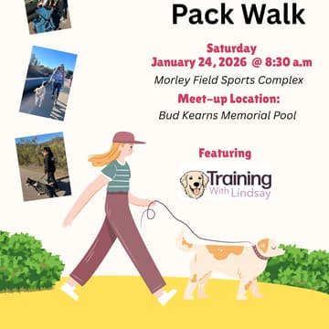 Cover Image for Good Girls SD Pack Walk