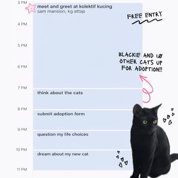 Cover Image for February Adoption Drive 🏠