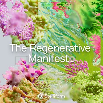 Cover Image for STELLIFORM 00: The Regenerative Manifesto