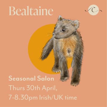 Cover Image for Bealtaine Salon