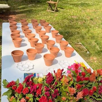 Cover Image for Pinte e plante🌼🖌️