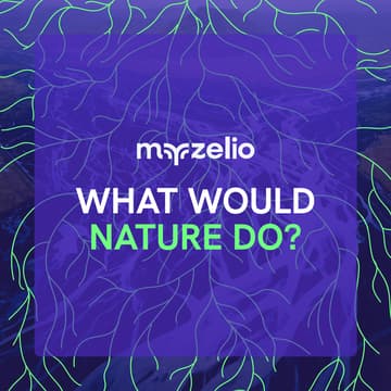 Cover Image for What Would Nature Do?