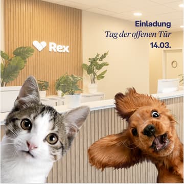 Cover Image for Tag der offenen Tür | Rex Tierarztpraxis Stuttgart