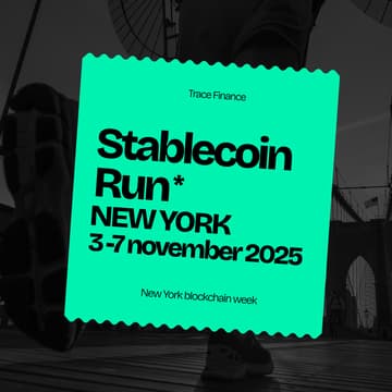 Cover Image for Stablecoin Run by Trace Finance