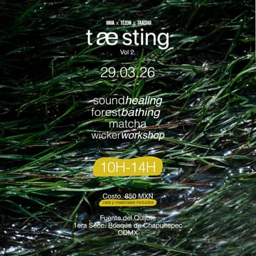 Cover Image for Tæsting | IMIA x Tezón x Taashii