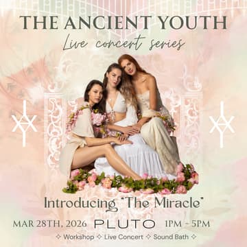 Cover Image for The Ancient Youth [Live Concert Series]