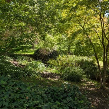 Cover Image for Nature Lab Experience