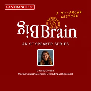 Cover Image for Beneath the Surface: What’s Really Happening in Our Oceans