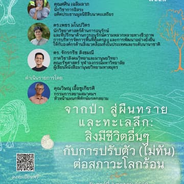Cover Image for จากป่า สู่ผืนทราย และทะเลลึก: สิ่งมีชีวิตอื่นๆ กับการปรับตัว (ไม่ทัน) ต่อสภาวะโลกร้อน| From Forests to Shores and the Deep Sea: How Other Species Are (Failing to) Adapt to a Warming World