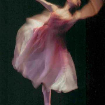 Cover Image for Adult Ballet Workshop- Spring Bloom