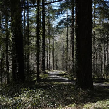 Cover Image for Laboratorio de Conexión: Desierto de los Leones