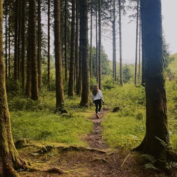 Cover Image for New Forest Hiking Trip!