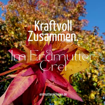 Cover Image for Mütterkreis mit Louisa