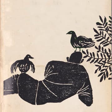 Cover Image for Wine as Experience