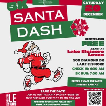 Cover Image for SANTA DASH