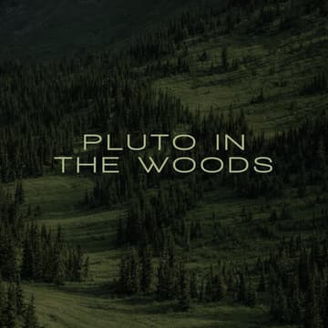 Cover Image for 🌲 Pluto x The Woods: The Art of Gathering 🌲