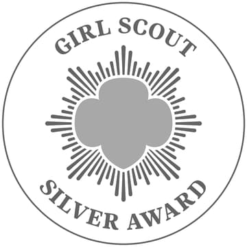 Cover Image for Silver Award Training