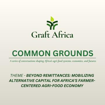 Cover Image for Beyond Remittances: Mobilizing Alternative Capital for Africa’s Farmer-Centered Agri-Food Economy