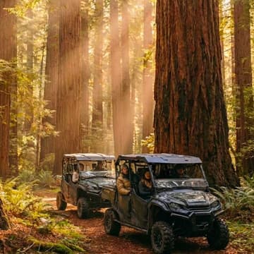 Cover Image for 3 Days, 2 Nights in the Redwoods: Smart Forest Innovation for Chief Sustainability Officers & Philanthropic Impact Leaders