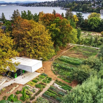 Cover Image for Support Tilth Alliance's Pollinator Hillside