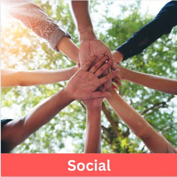 Cover Image for Pre-Med Ornament Decorating