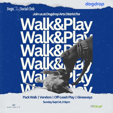 Cover Image for Walk & Play Social