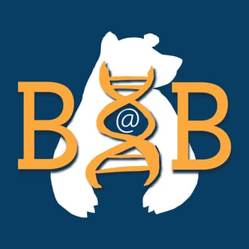 Cover Image for SBG<>B^2 Joint Social at MBC