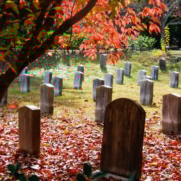 Cover Image for Death Is Life, Too