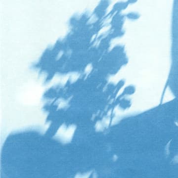 Cover Image for Impressions: Cyanotype Creative Process