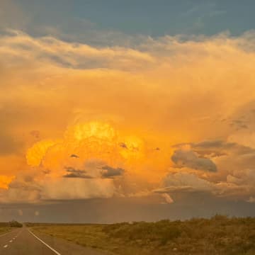 Cover Image for Ohne viele Worte