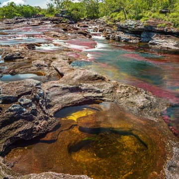 Cover Image for Caño Cristales & Caño Canoas
