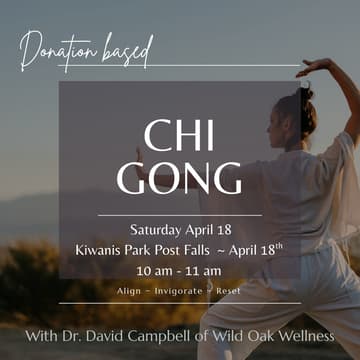 Cover Image for 3rd Saturday Chi Gong